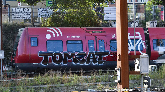 dansk graffiti s-tog
